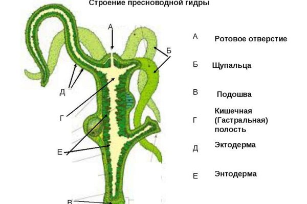 Кракен гидра сайт